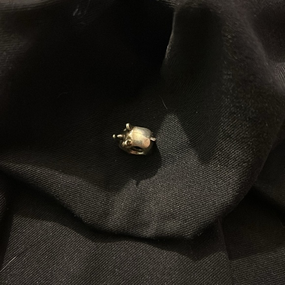 Retired Pandora Rhino 🦏 - Picture 2 of 5